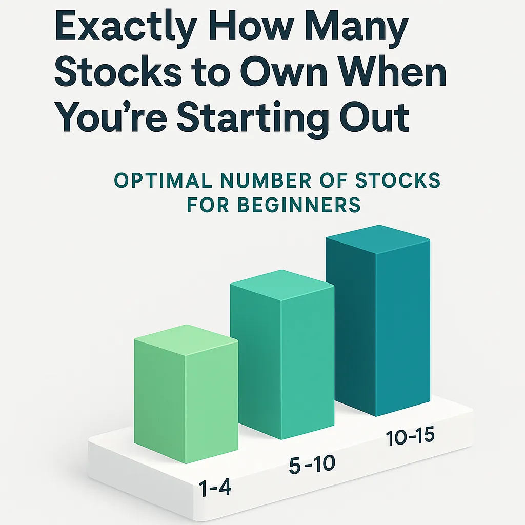 Optimal portfolio size chart for beginners